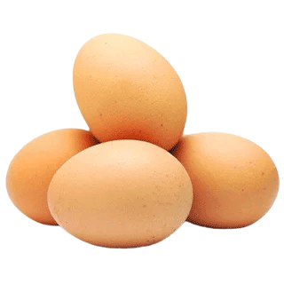 Telur Ayam
